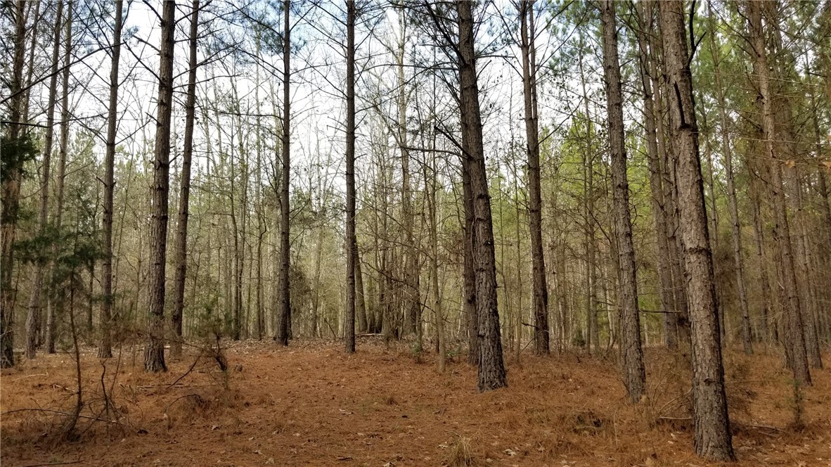 0 Fairs Road Abbeville, SC 29620 - Photo 7 of 8