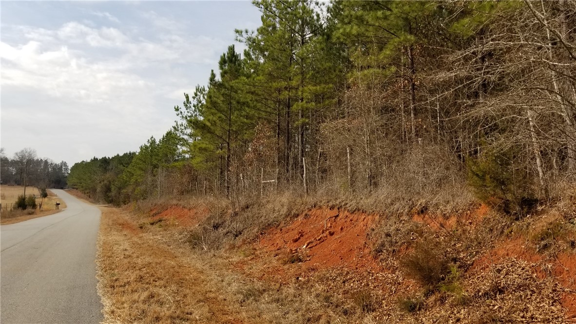 0 Fairs Road Abbeville, SC 29620 - Photo 8 of 8