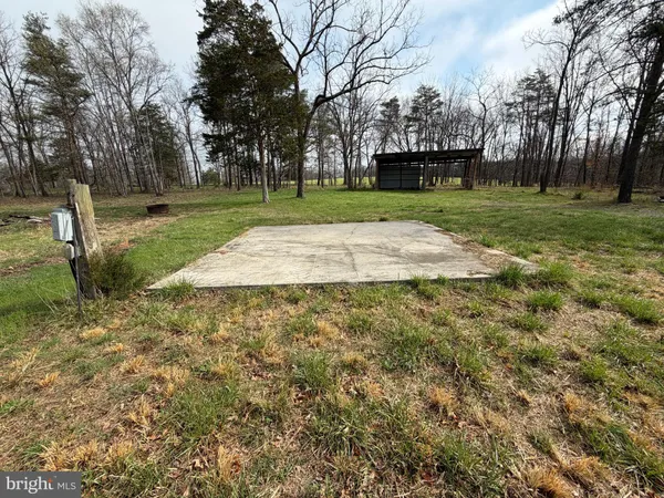 a view of a park with tree s