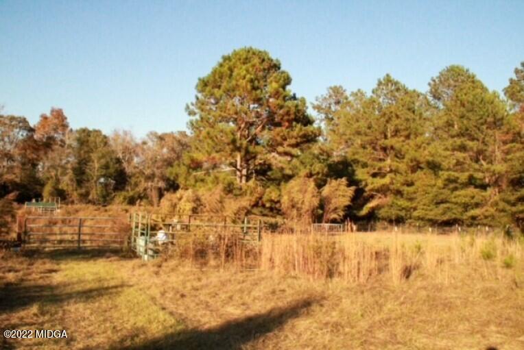 362 Chestnut Hill Road Fort Valley, GA 31030 - Photo 21 of 23 a view of lake view