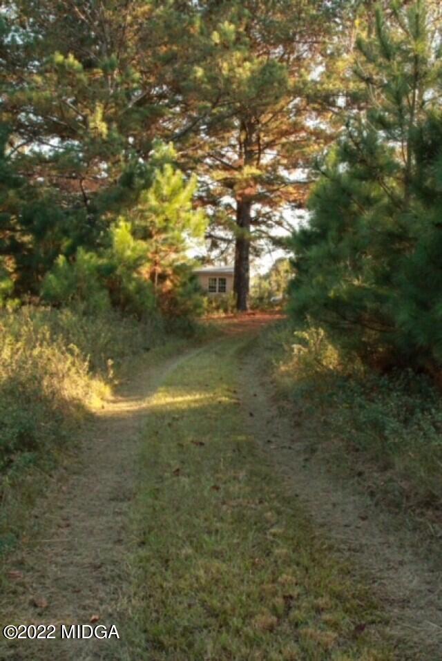 362 Chestnut Hill Road Fort Valley, GA 31030 - Photo 22 of 23 a view of ocean