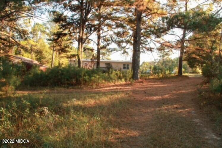 362 Chestnut Hill Road Fort Valley, GA 31030 - Photo 23 of 23 a view of dirt yard with a large tree