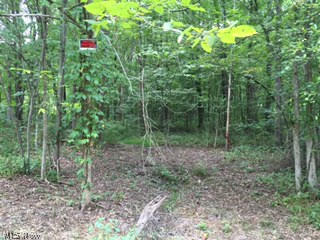 County Line/mahoning Road Lake Milton, OH 44429 - Photo 1 of 3 Gallery Image 1