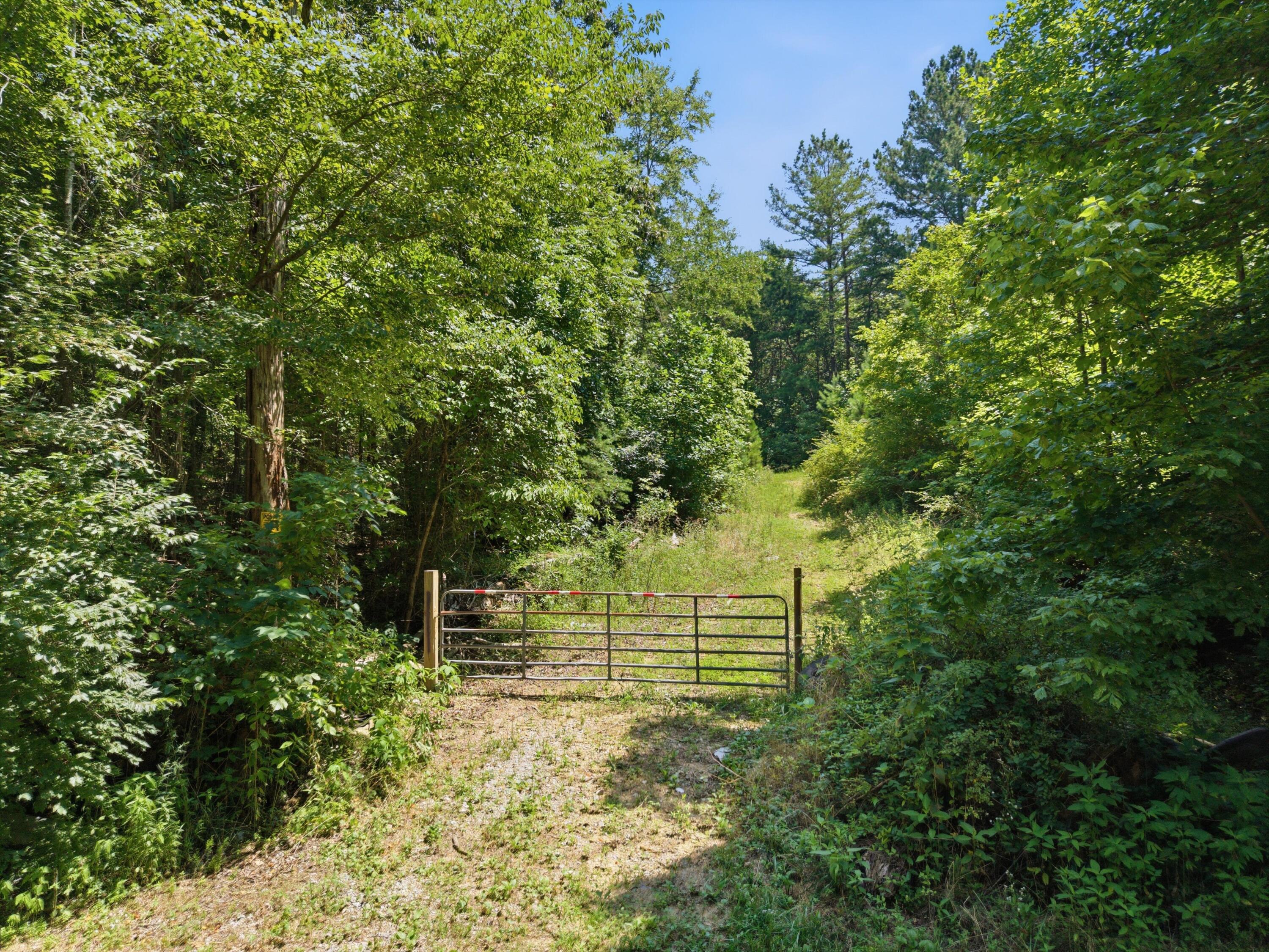 0 West Francis Spring Road Whitwell, TN 37397 - Photo 14 of 23 15-FrancisSpringRd-13