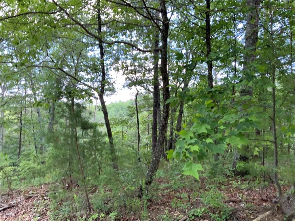 1335 Birch Lane Ranger, GA 30734 - Photo 5 of 10 a view of forest