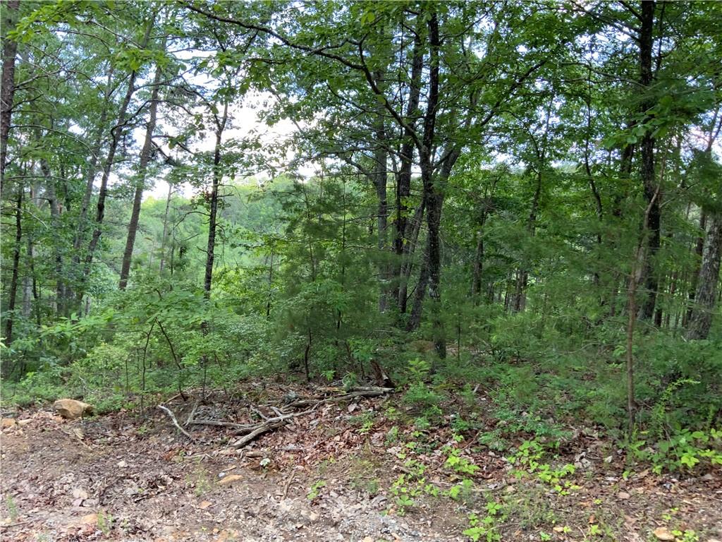 1335 Birch Lane Ranger, GA 30734 - Photo 9 of 10 a view of a forest with trees in the background