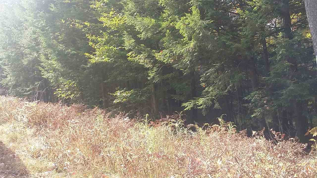 Dorchester Road, Unit 1006 Rumney, NH 03266 - Photo 3 of 7
