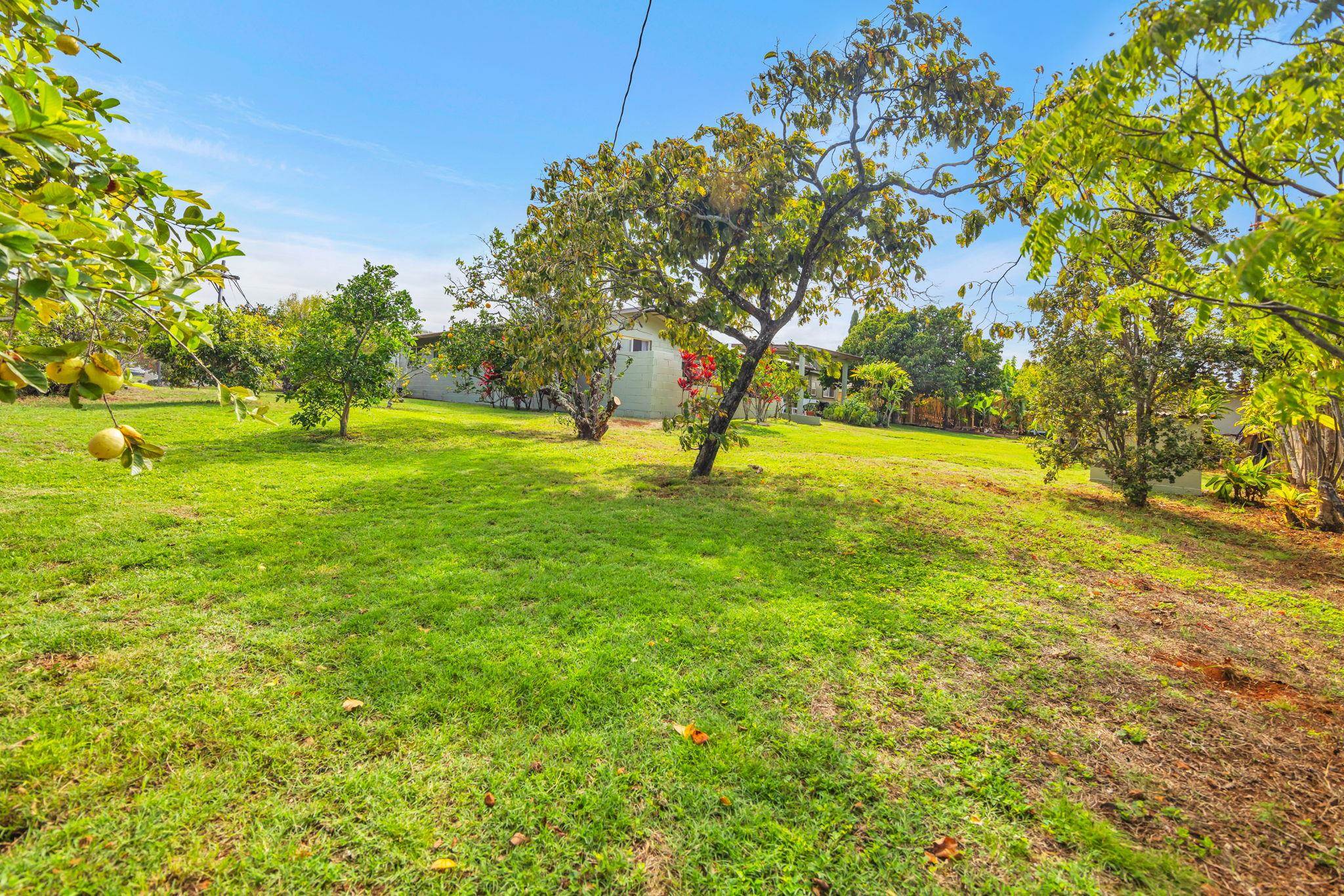 1199 Freitas Place Makawao, HI 96768 - Photo 31 of 49 a view of field with trees in the background