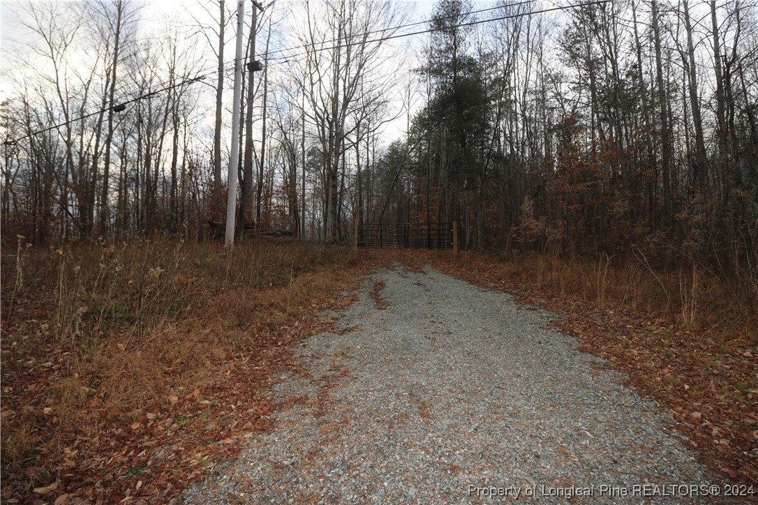 8275 Virgilina Road Roxboro, NC 27574 - Photo 1 of 5 a view of a forest with trees in the background