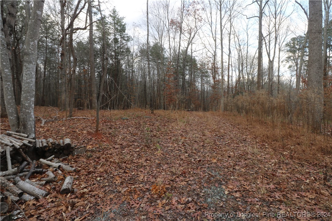 8275 Virgilina Road Roxboro, NC 27574 - Photo 2 of 5 a view of a room with trees in the background