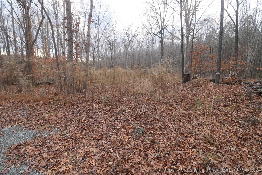 8275 Virgilina Road Roxboro, NC 27574 - Photo 3 of 5 a view of a yard with trees in the background