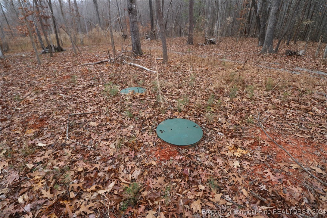 8275 Virgilina Road Roxboro, NC 27574 - Photo 4 of 5 a view of a dry yard