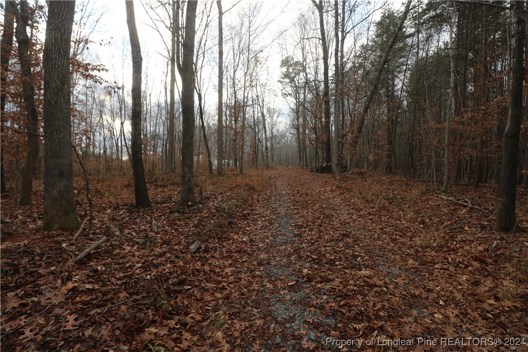 8275 Virgilina Road Roxboro, NC 27574 - Photo 5 of 5 a big yard with lots of green space and trees