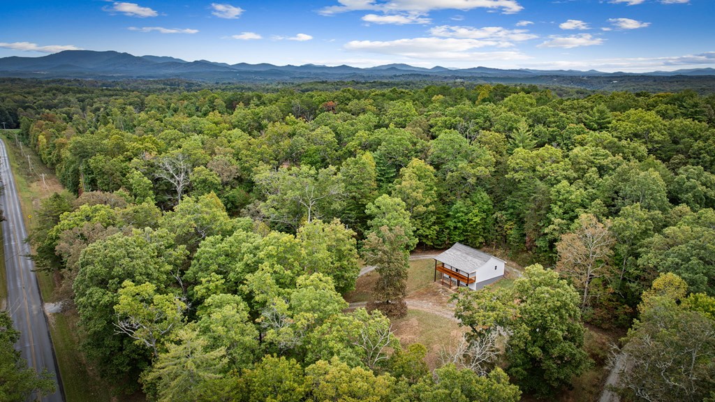 4097 Mobile Road McCaysville, GA 30555 - Photo 48 of 61 Gallery Image 48