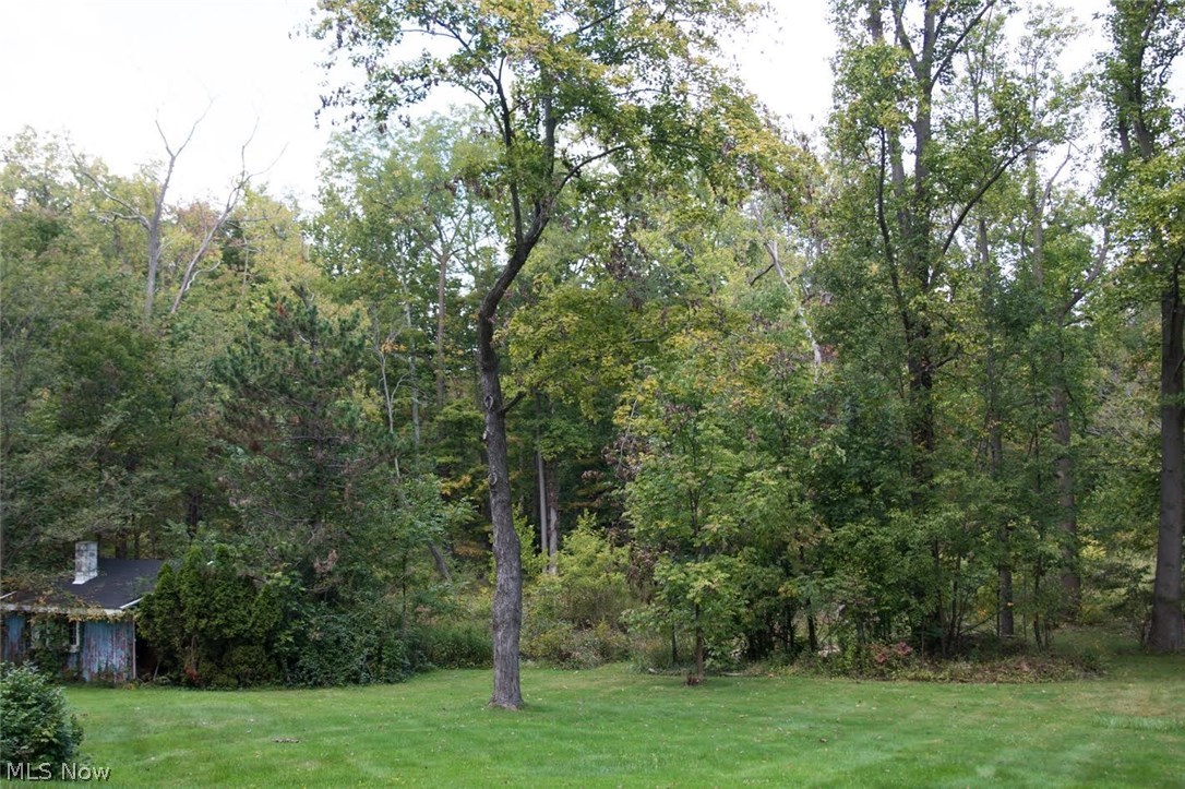 6365 Fay Road Painesville, OH 44077 - Photo 5 of 6 Gallery Image 5