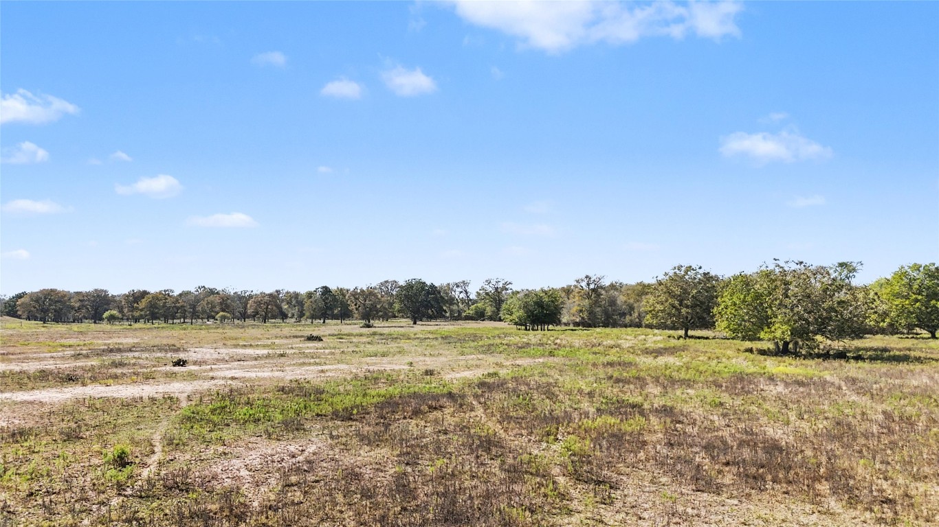 3 Fm 3158 Dale Dale, TX 78616 - Photo 11 of 17 a view of a field with trees in background