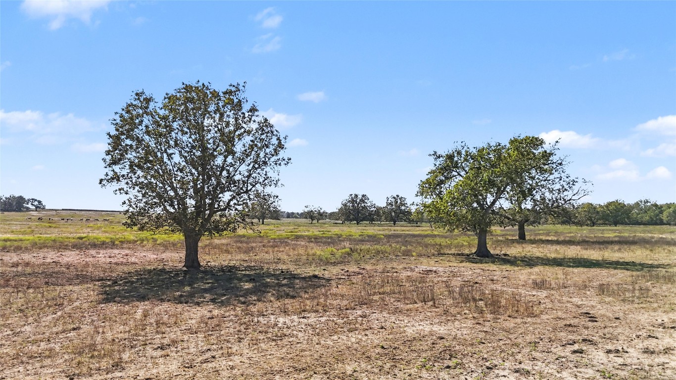 3 Fm 3158 Dale Dale, TX 78616 - Photo 4 of 17 a view of an ocean and trees