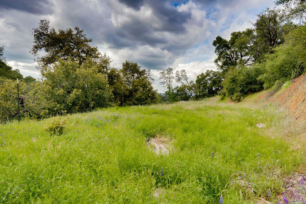 5068 Pappalardo Promenade Murphys, CA 95247 - Photo 11 of 15 a view of yard with green space