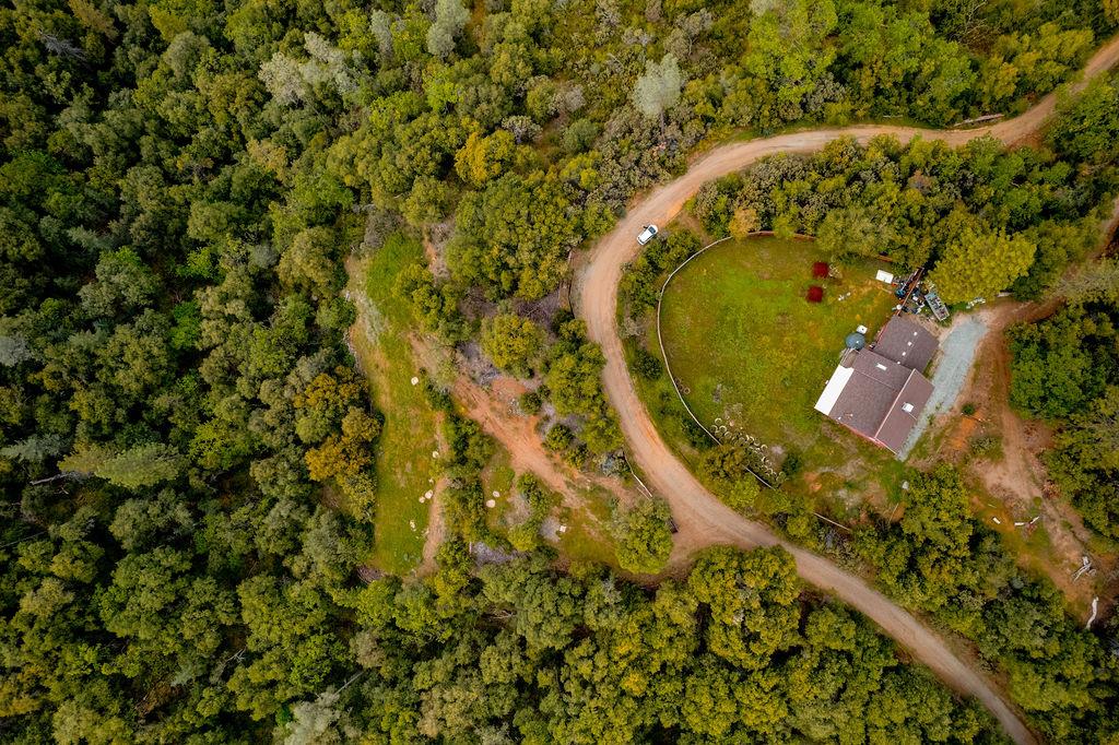 5068 Pappalardo Promenade Murphys, CA 95247 - Photo 13 of 15 an aerial view of a swimming pool
