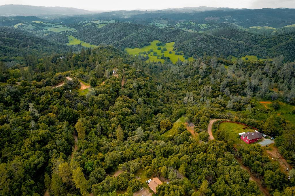 5068 Pappalardo Promenade Murphys, CA 95247 - Photo 15 of 15 a view of a bunch of trees and bushes