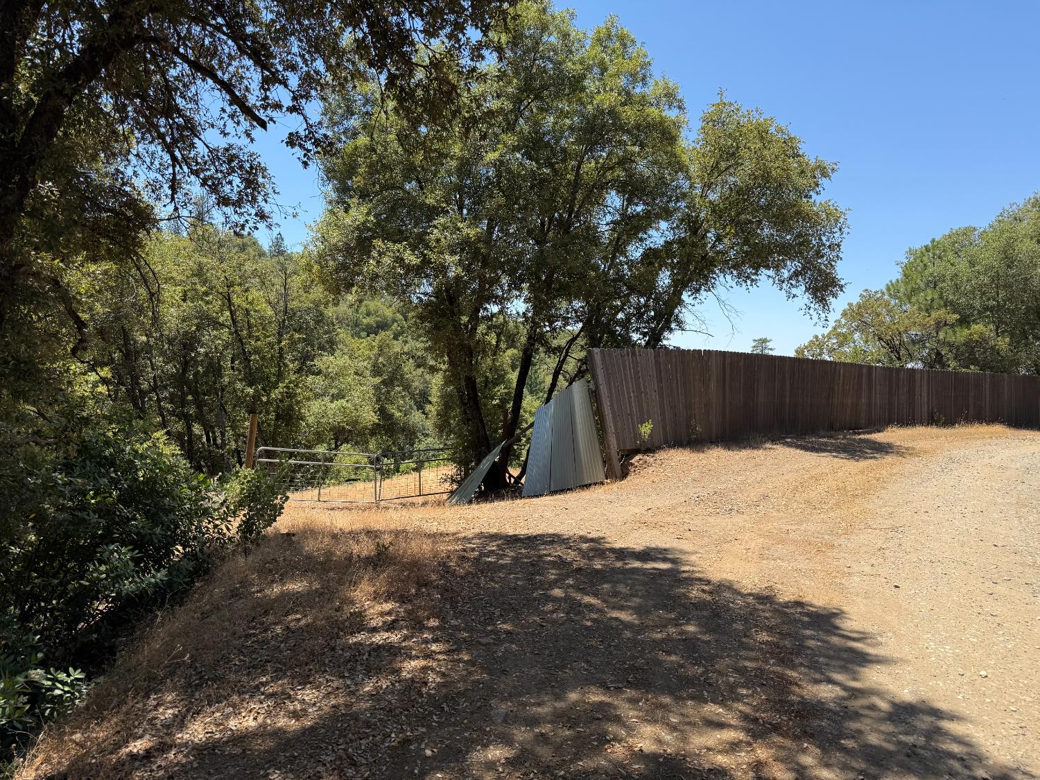 5068 Pappalardo Promenade Murphys, CA 95247 - Photo 6 of 15 a view of a yard with wooden fence