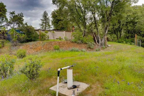 a view of a garden with an outdoor space