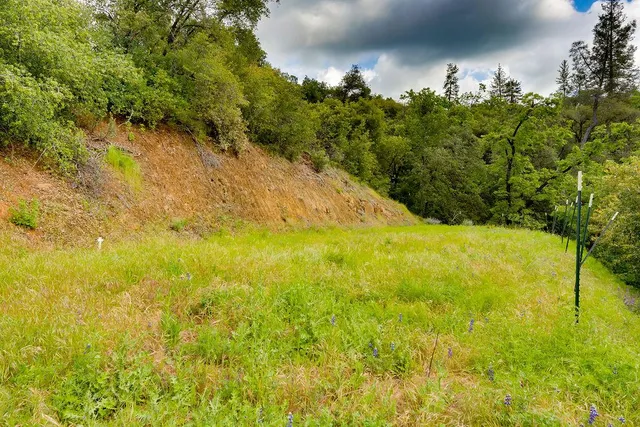 a view of yard with green space