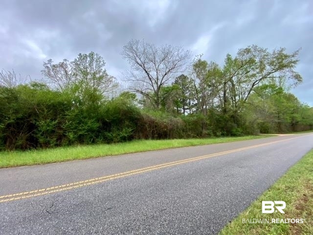 0 County Road 23 Castleberry, AL 36432 - Photo 1 of 2