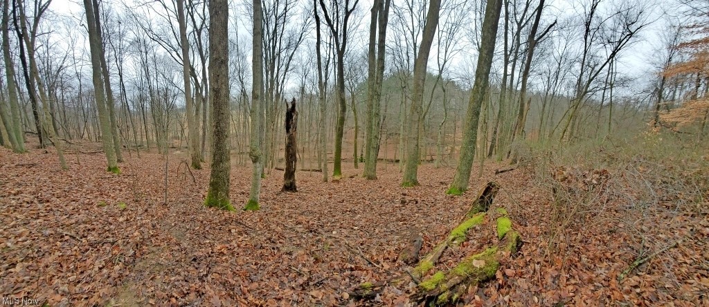 1357 Sand Ridge Road Zanesville, OH 43701 - Photo 42 of 50 View of nature