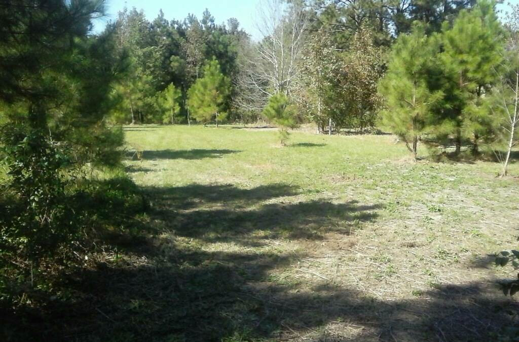 12626 Raleigh Road Benson, NC 27504 - Photo 17 of 19 Photo 17