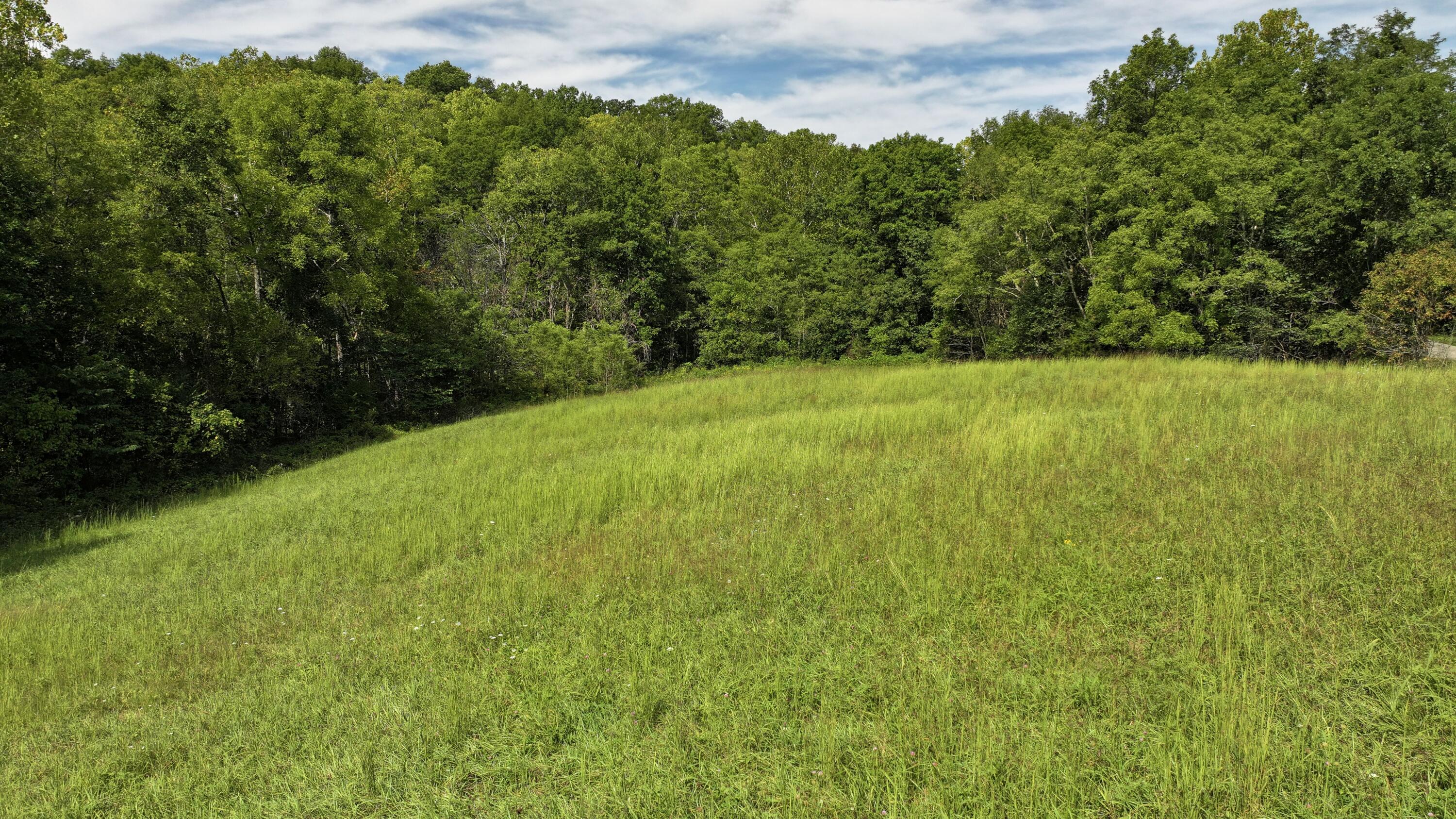 0 Pleasant Grove Road Corinth, KY 41010 - Photo 9 of 13 DJI_20260914121406_0004_D