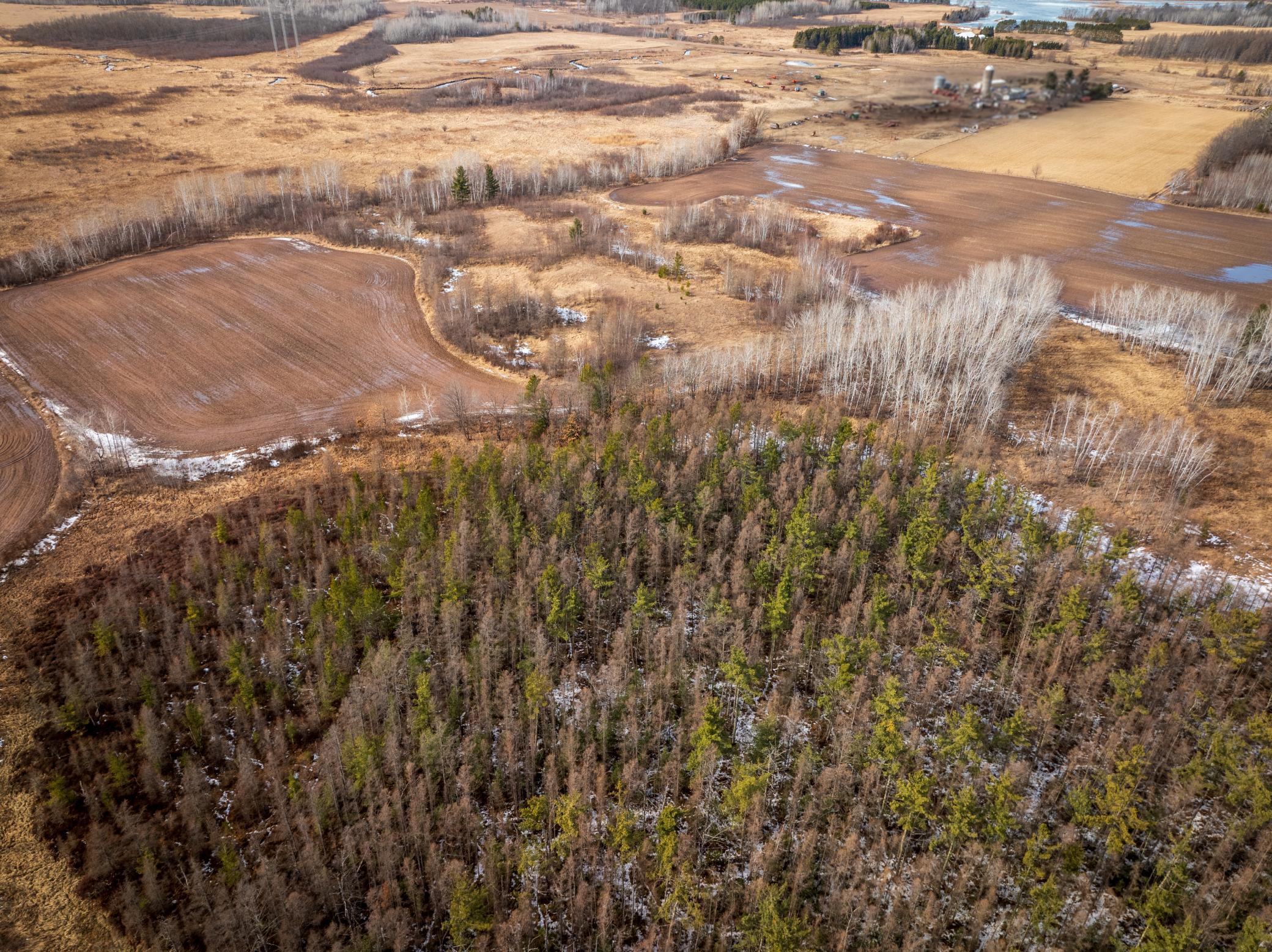 Tbd Bitternut Lane Hinckley, MN 55037 - Photo 22 of 29