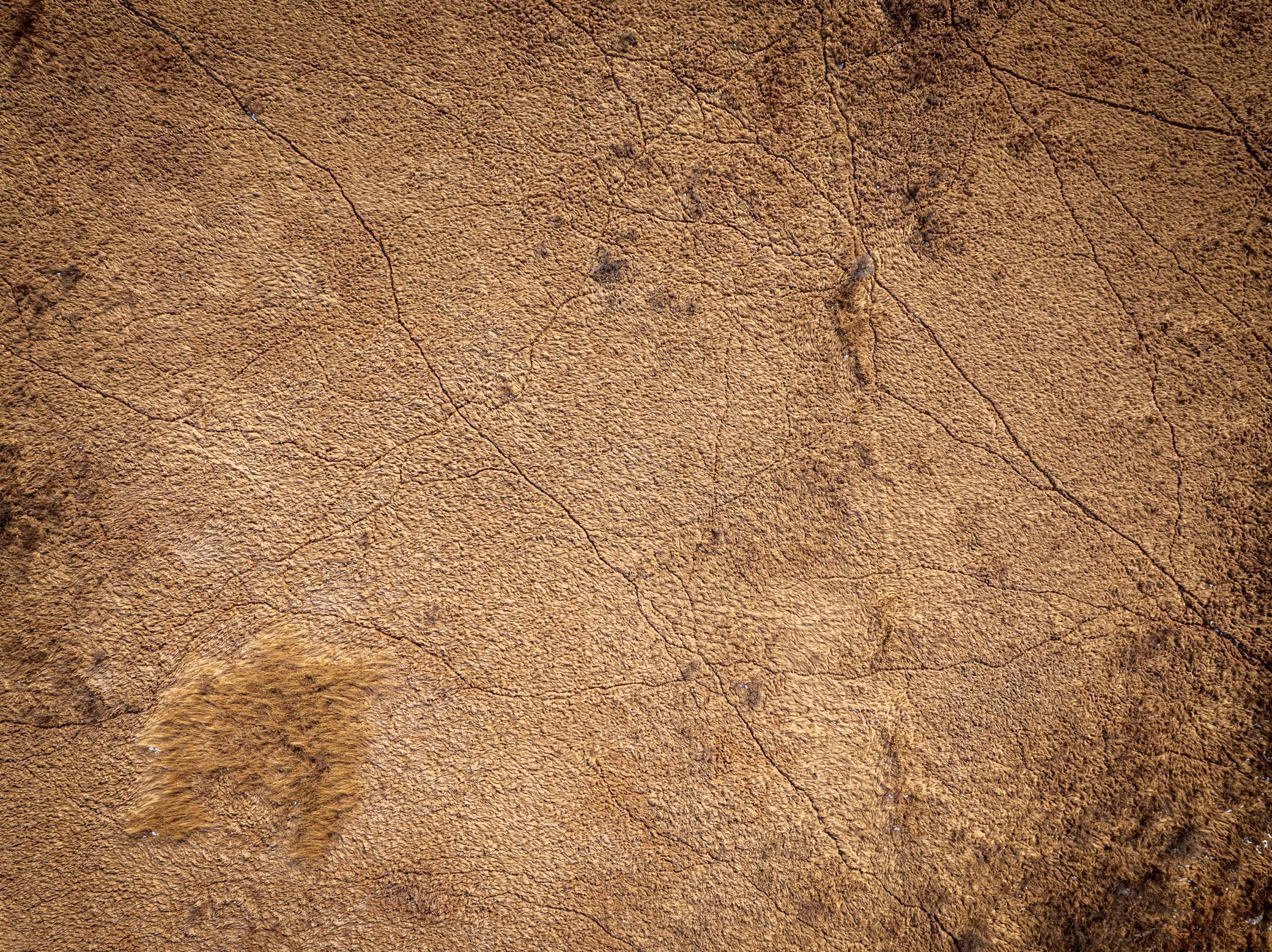 Tbd Bitternut Lane Hinckley, MN 55037 - Photo 9 of 29