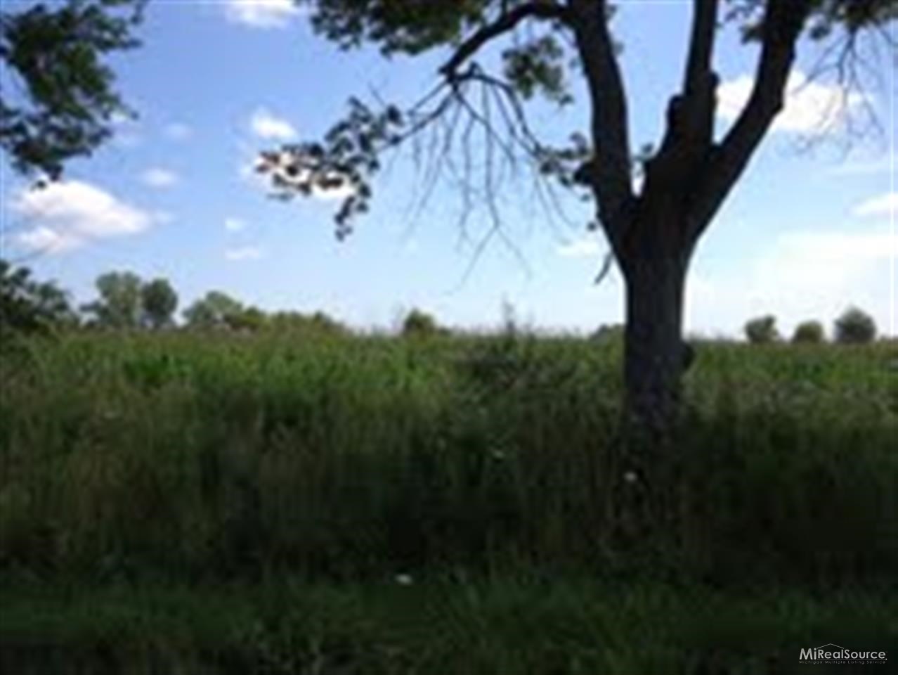 0 Duquette Road Melvin, MI 48454 - Photo 2 of 8 31160748-1.JPG