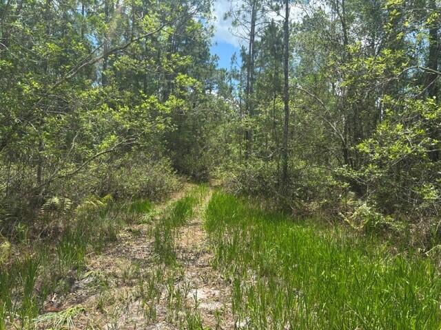 0 Water Road Clermont, FL 34714 - Photo 1 of 3 3