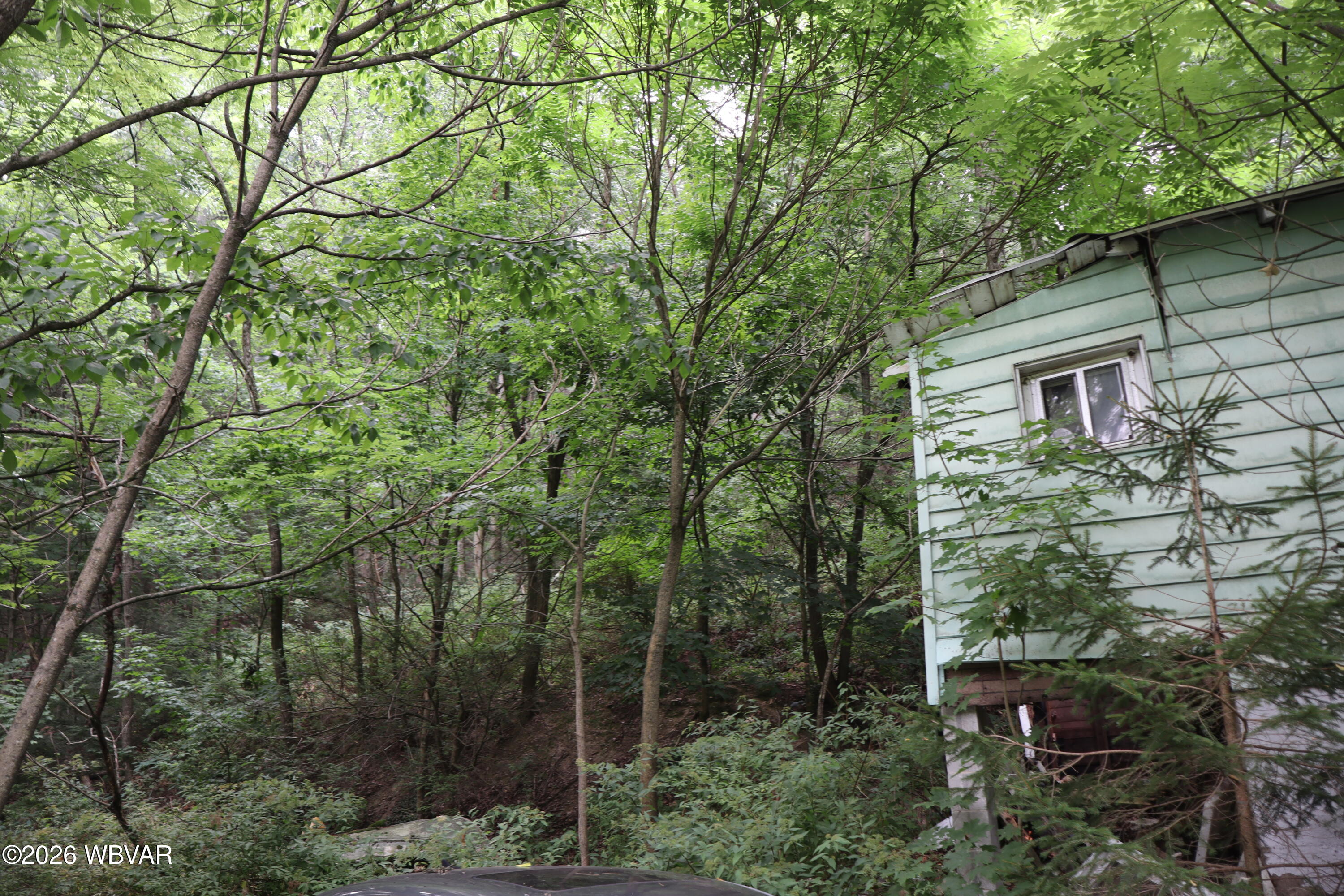 2072 Sugar Run Road Mill Hall, PA 17751 - Photo 4 of 7 Gallery Image 4