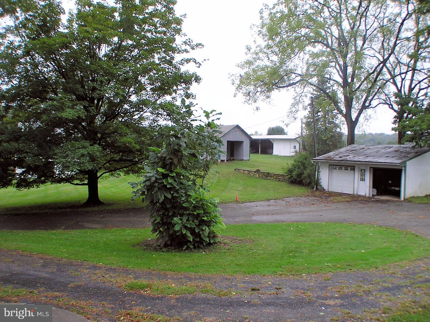 120 Scarlet Road Kennett Square, PA 19348 - Photo 20 of 25 a view of a yard with plants and large trees