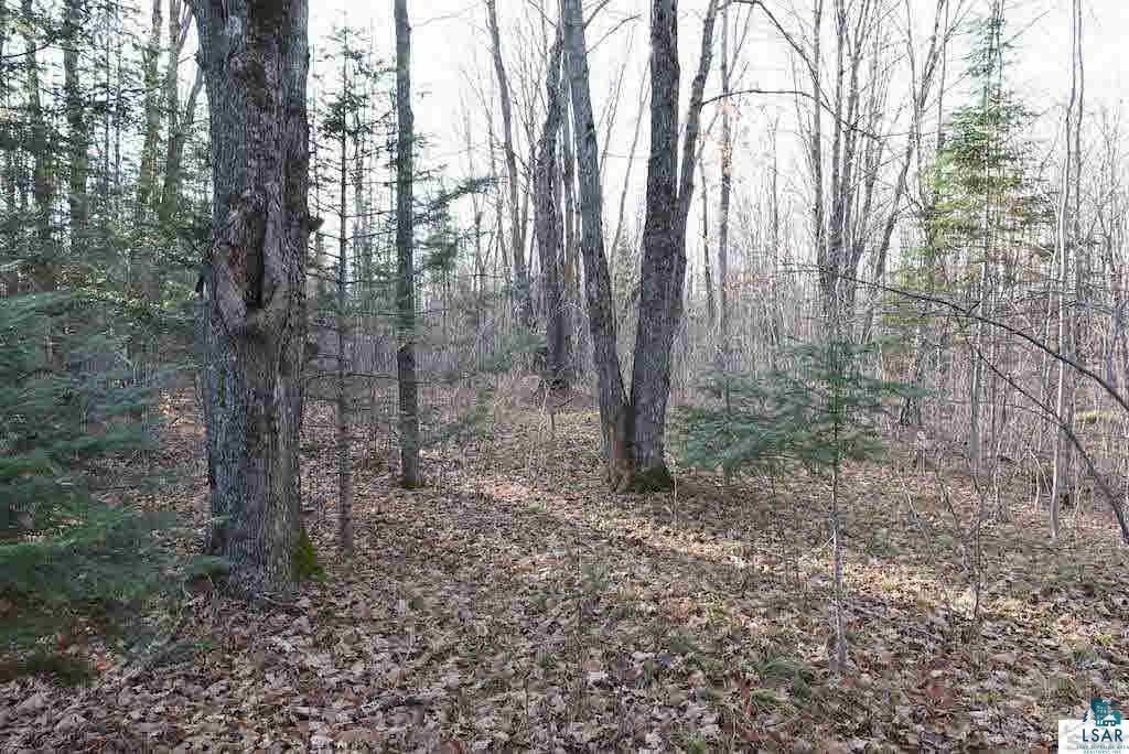 28255 Marengo River Road Mason, WI 54856 - Photo 20 of 25 Gallery Image 20