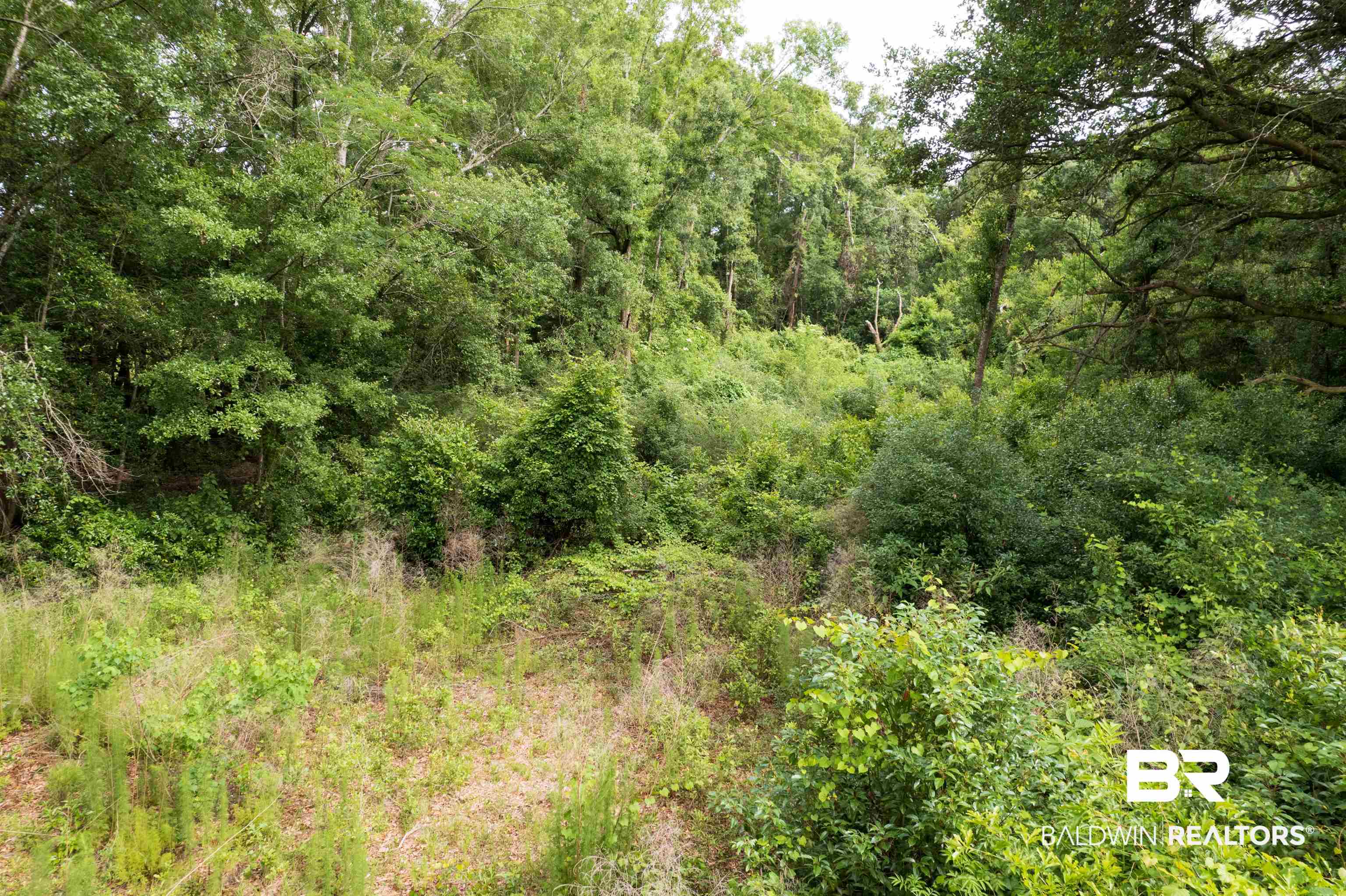 6861 Barnes Road Theodore, AL 36582 - Photo 7 of 12