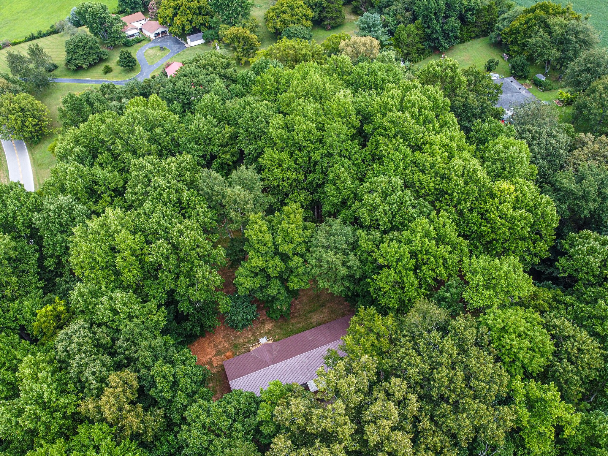 1003 Prairie Plains Road Hillsboro, TN 37342 - Photo 38 of 47 Gallery Image 38