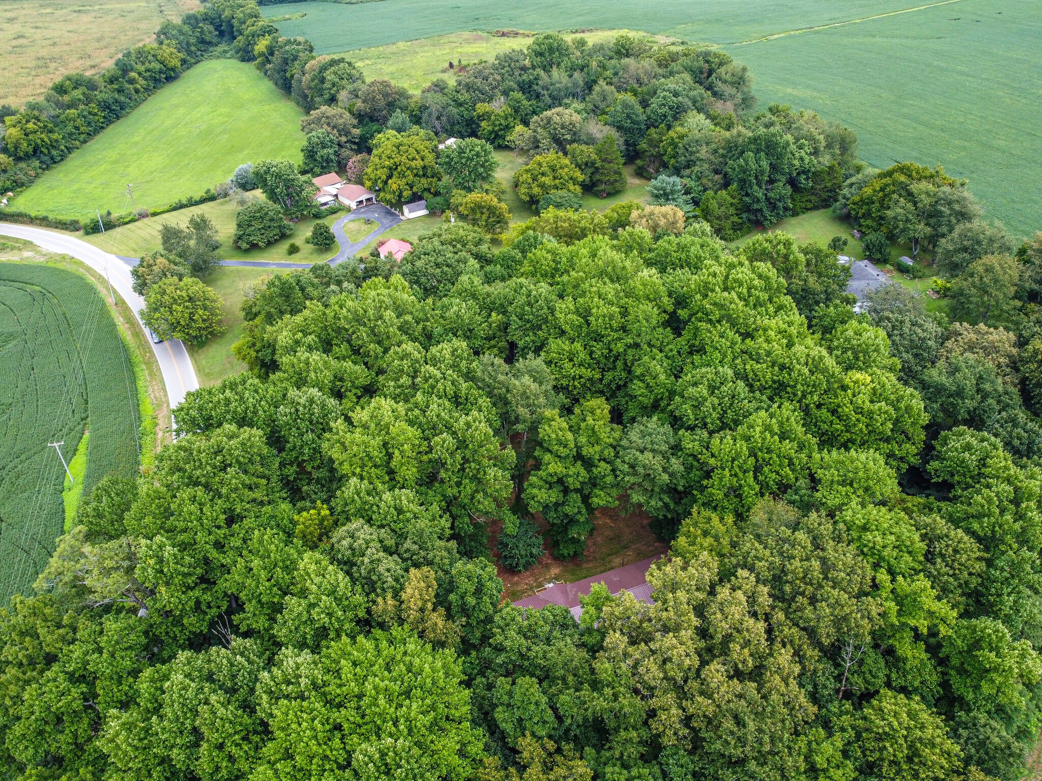 1003 Prairie Plains Road Hillsboro, TN 37342 - Photo 40 of 47 Gallery Image 40