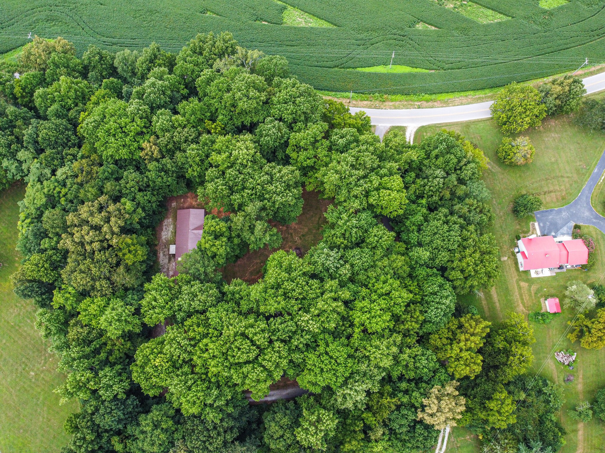 1003 Prairie Plains Road Hillsboro, TN 37342 - Photo 41 of 47 Gallery Image 41