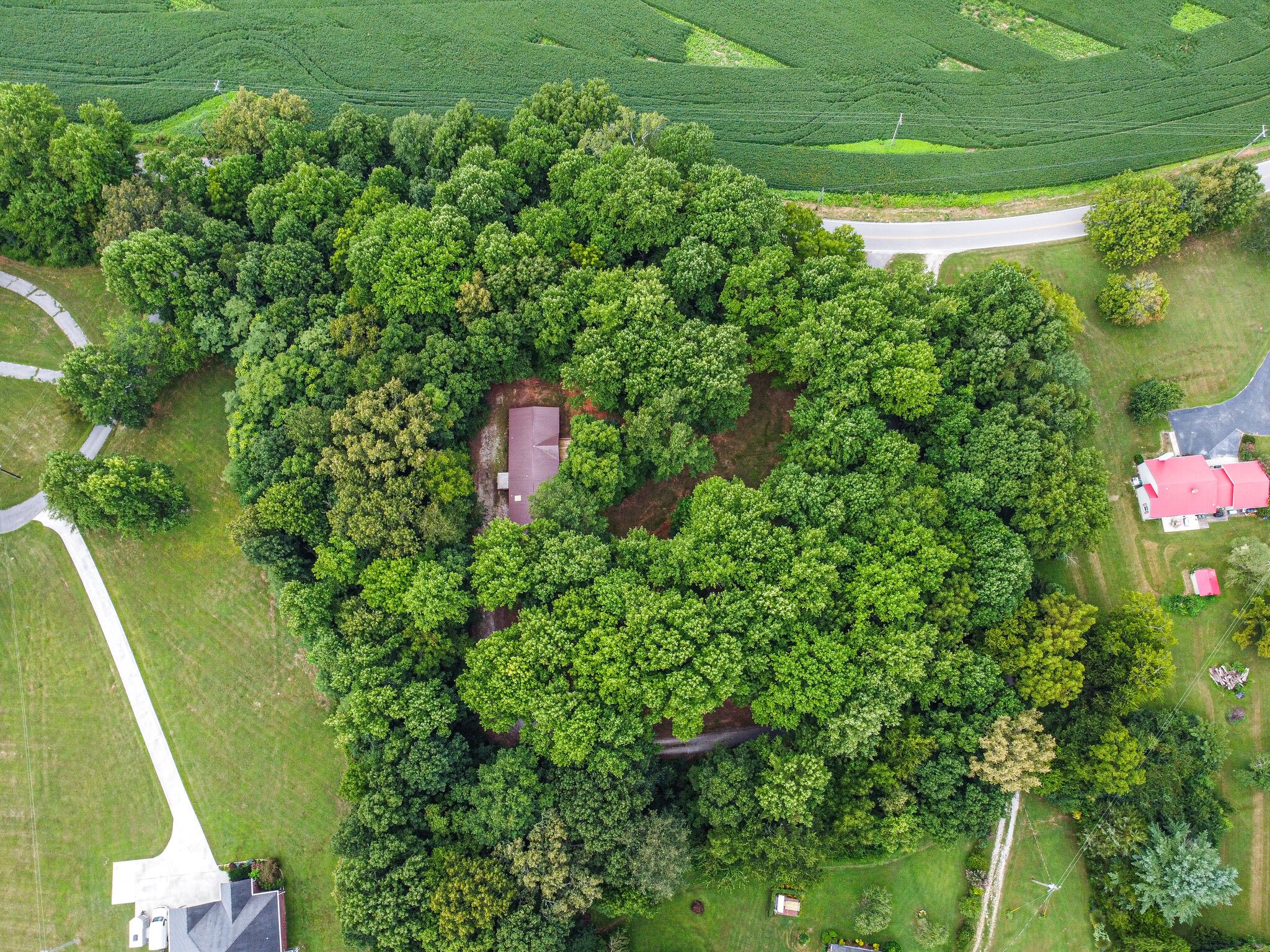 1003 Prairie Plains Road Hillsboro, TN 37342 - Photo 42 of 47 Gallery Image 42