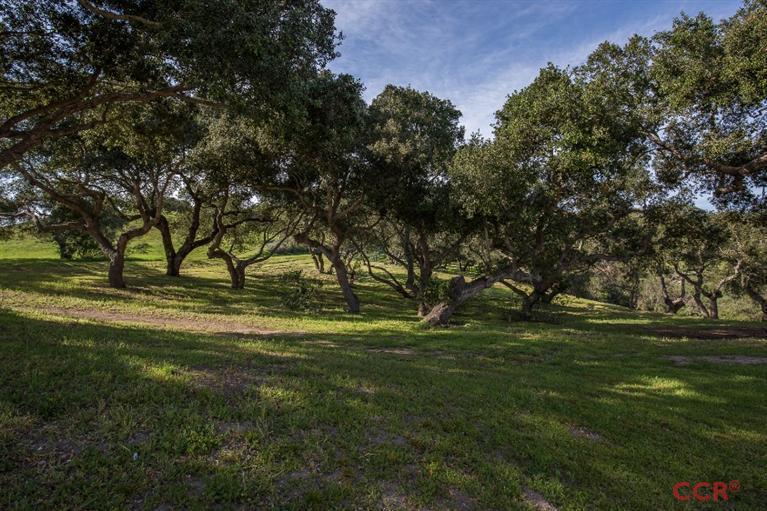 1410 Cougar Ridge Road Buellton, CA 93427 - Photo 18 of 22 Additional Photo