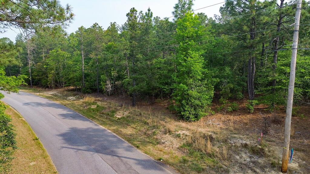 0 Mt Zion Road, Unit 3 Trenton, SC 29847 - Photo 3 of 26