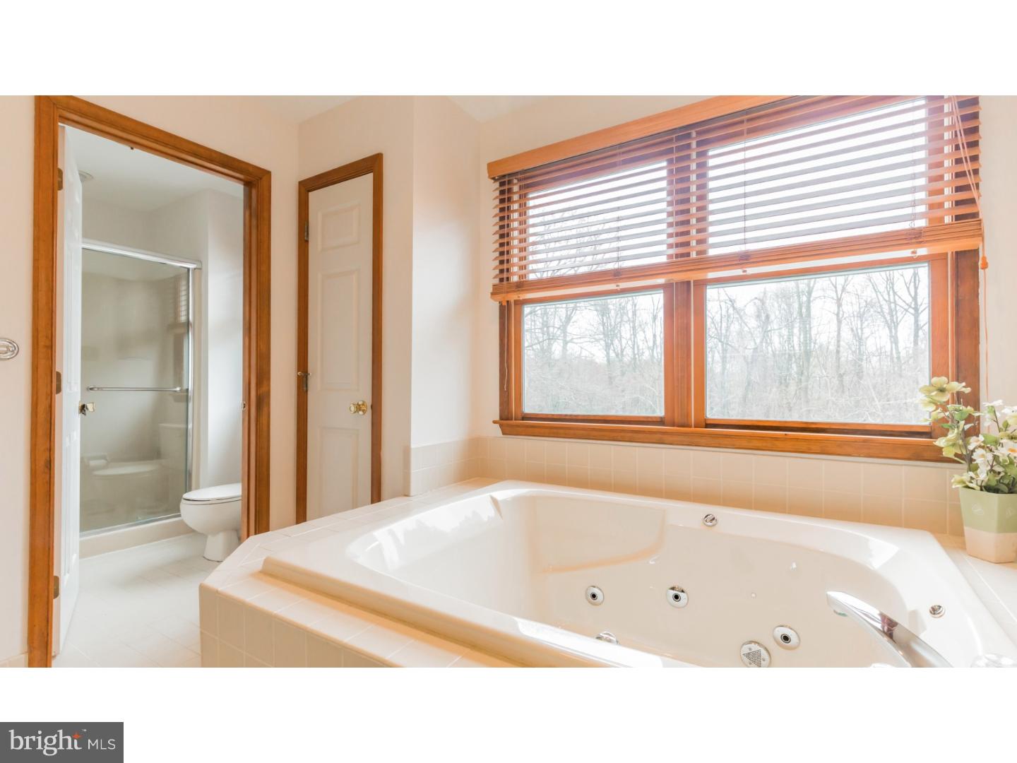 1036 Hopewell Road Downingtown, PA 19335 - Photo 12 of 23 Master Bathroom