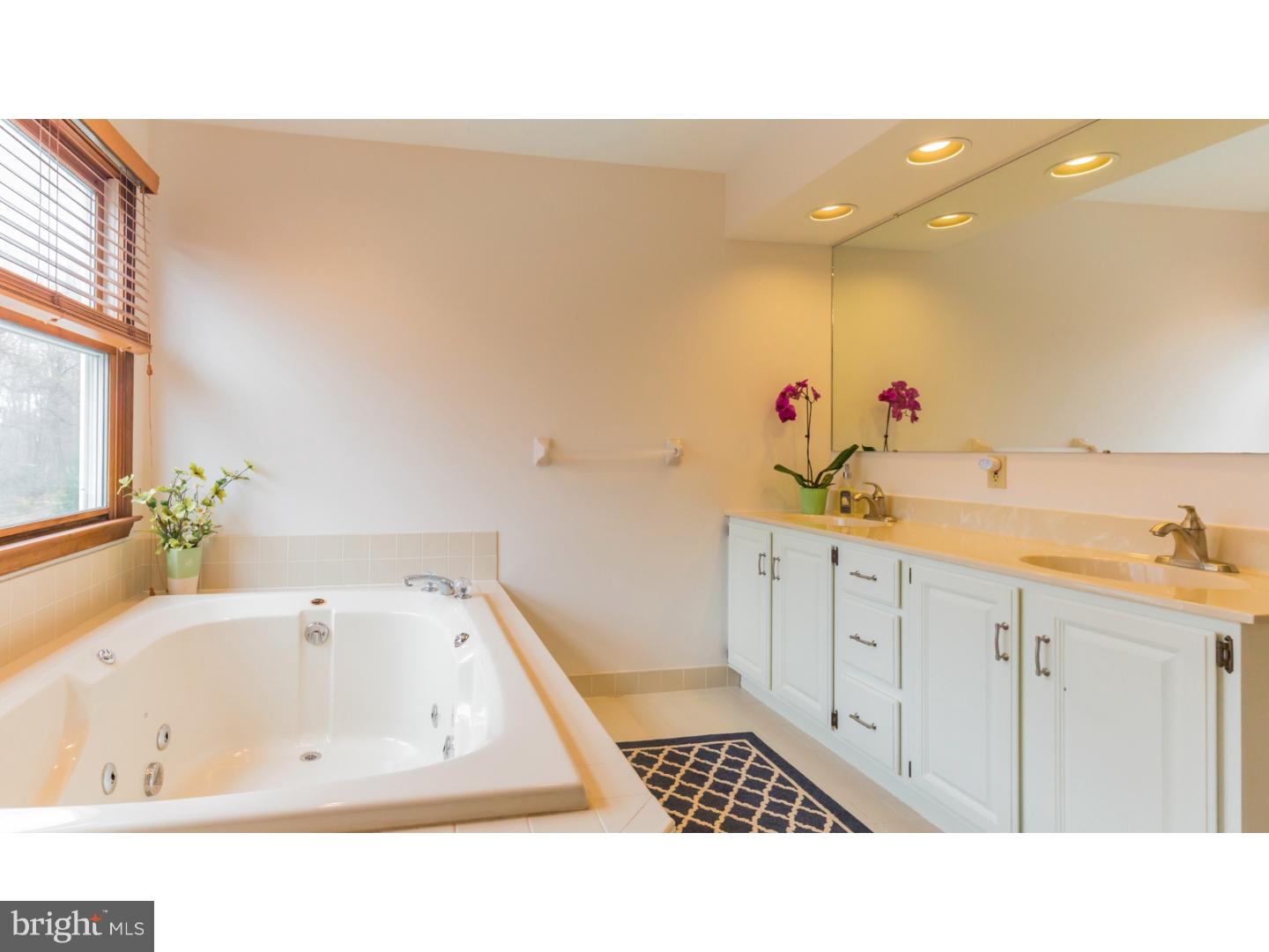 1036 Hopewell Road Downingtown, PA 19335 - Photo 13 of 23 Master Bathroom