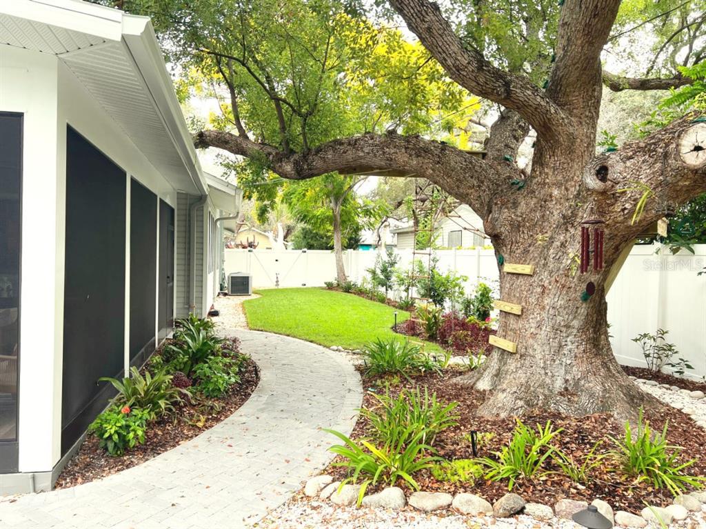 553 Scotland Street Dunedin, FL 34698 - Photo 23 of 23