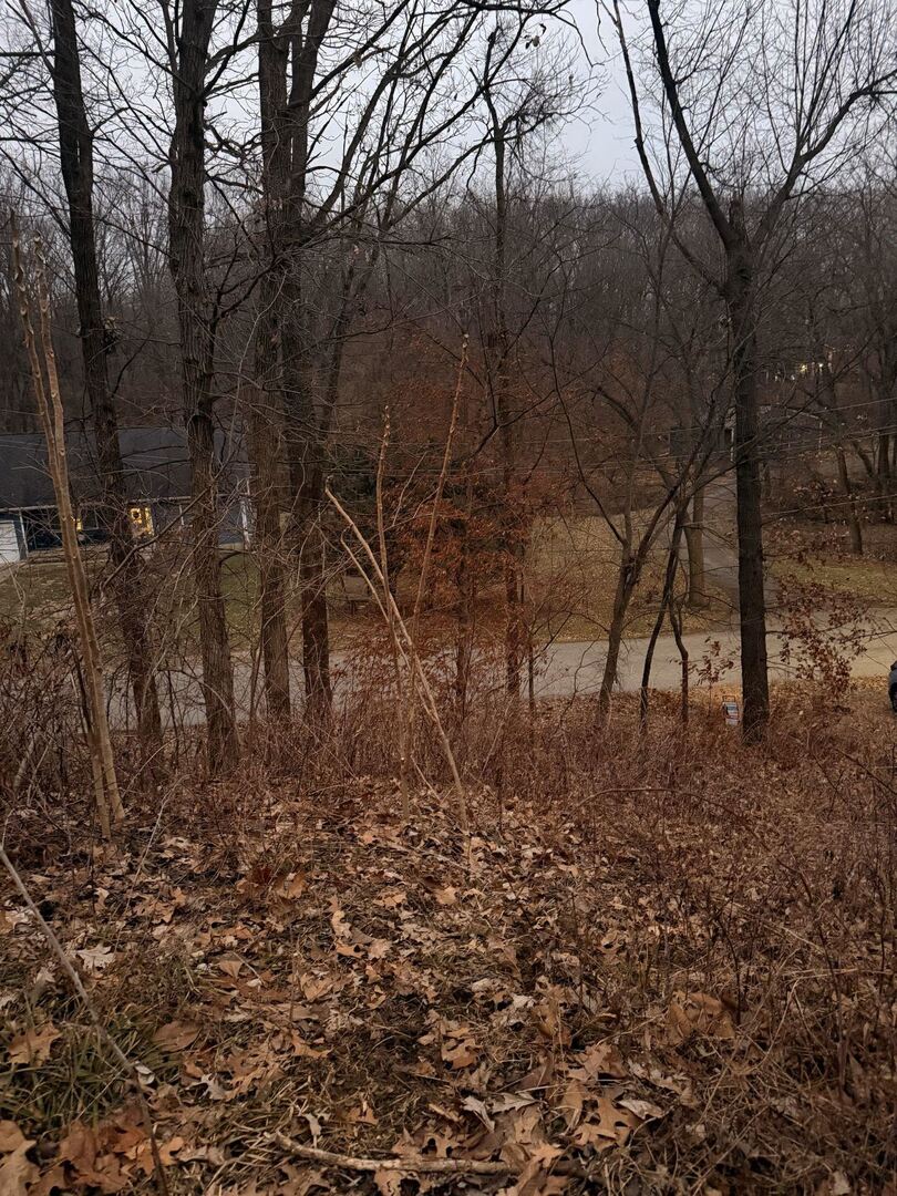 310 Ravine Street Port Byron, IL 61275 - Photo 5 of 5 a backyard of a house with lots of green space