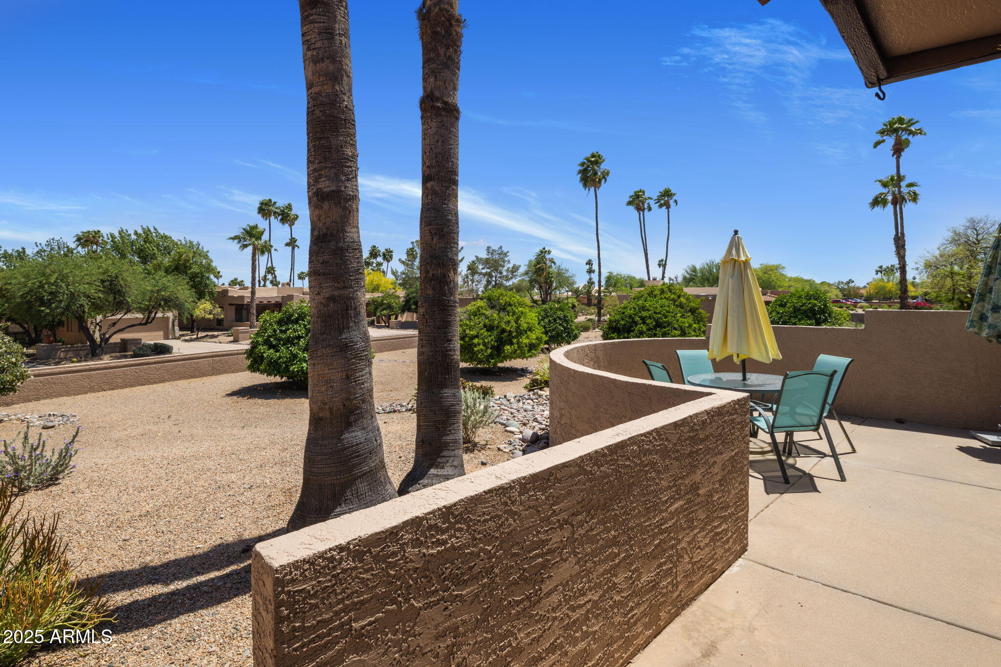 25609 Forest Road, Unit 13 Rio Verde, AZ 85263 - Photo 18 of 24 Back Patio